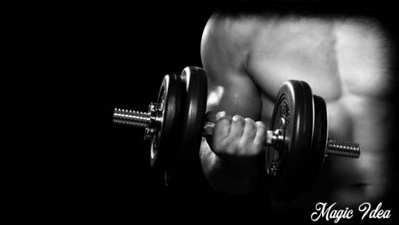 podnośniki koszowe Złotów