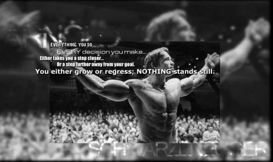 podnośnik koszowy Czarnków