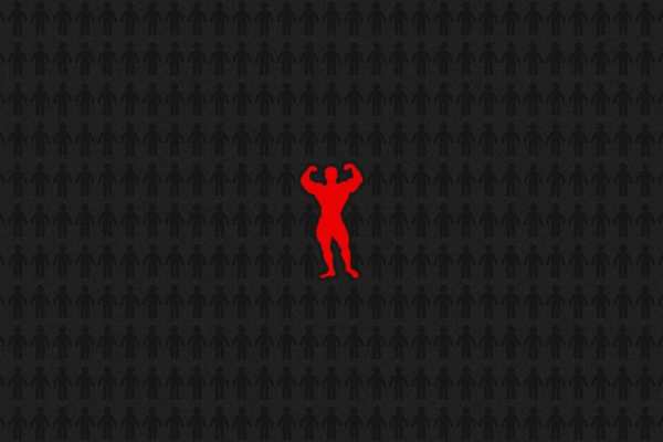 podnośnik koszowy Więcbork